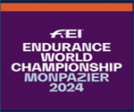 World Endurance Championship